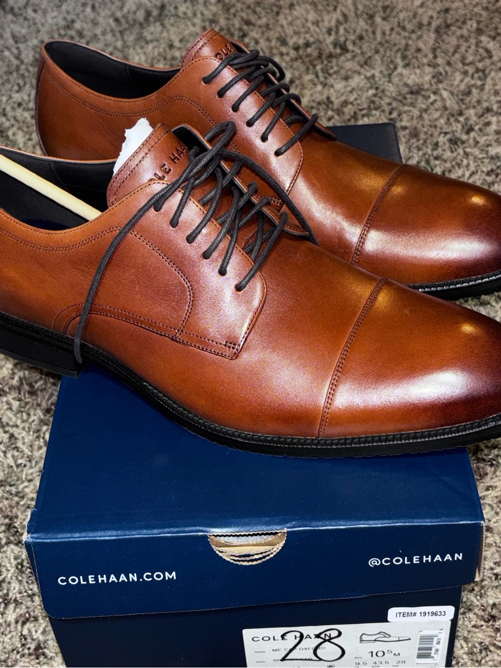 Cole Haan Men's Modern Essentials Cap Toe Oxford Style C34138 Men's 10.5 M